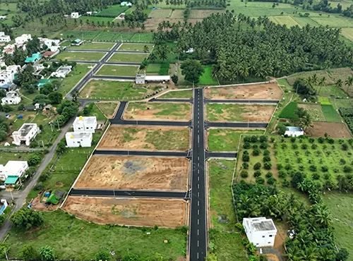 Field