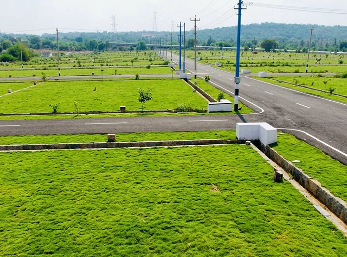 Field