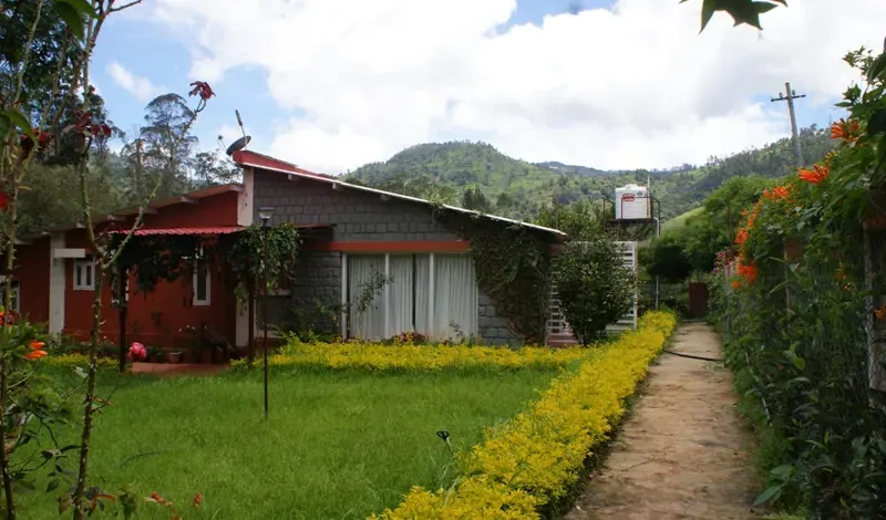 Field